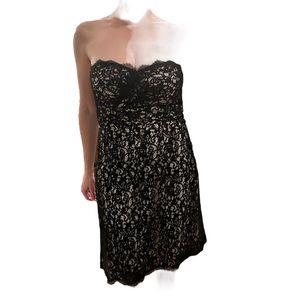 White House Black Market Lace Cocktail Dress